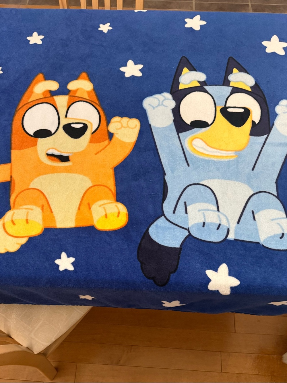 Bluey blanket